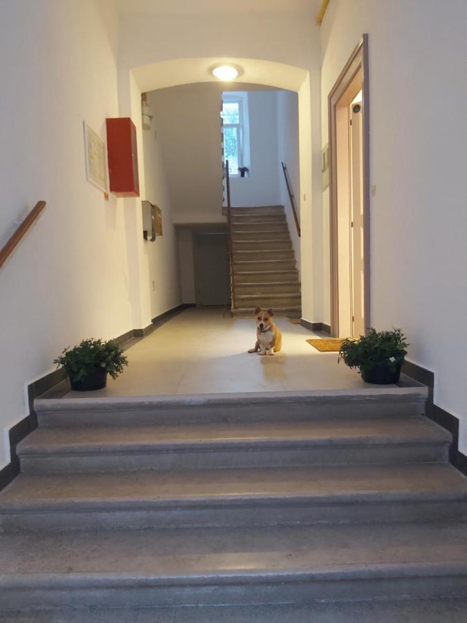 Apartman Draguc พูลา ภายนอก รูปภาพ